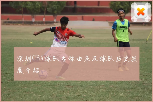 深圳CBA球队名称由来及球队历史发展介绍
