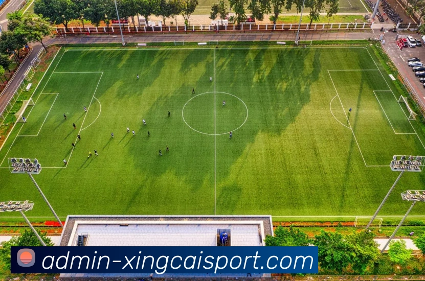 杏彩体育APP 高清赛事图